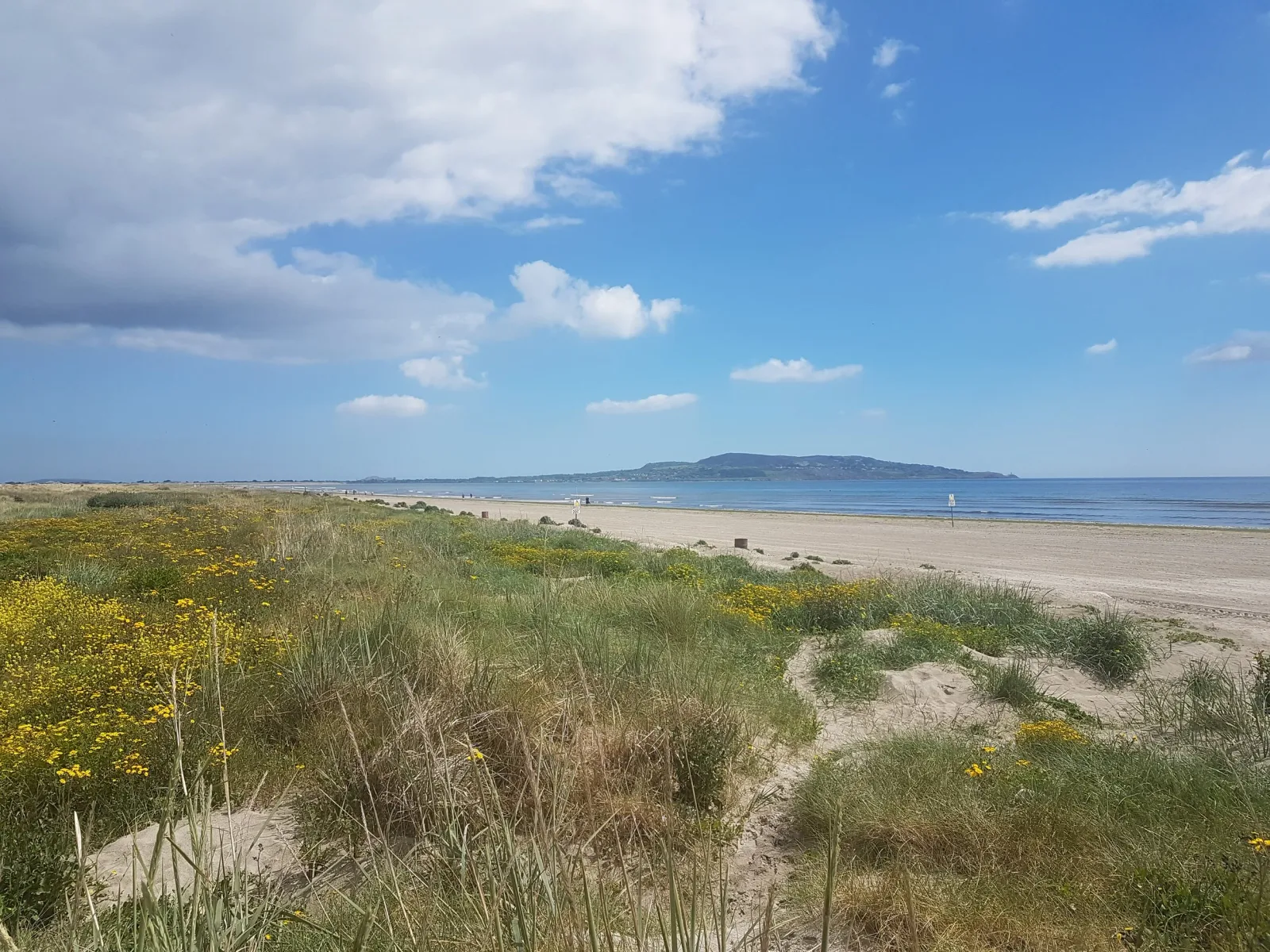 North Bull Island Nature Reserve photo 2