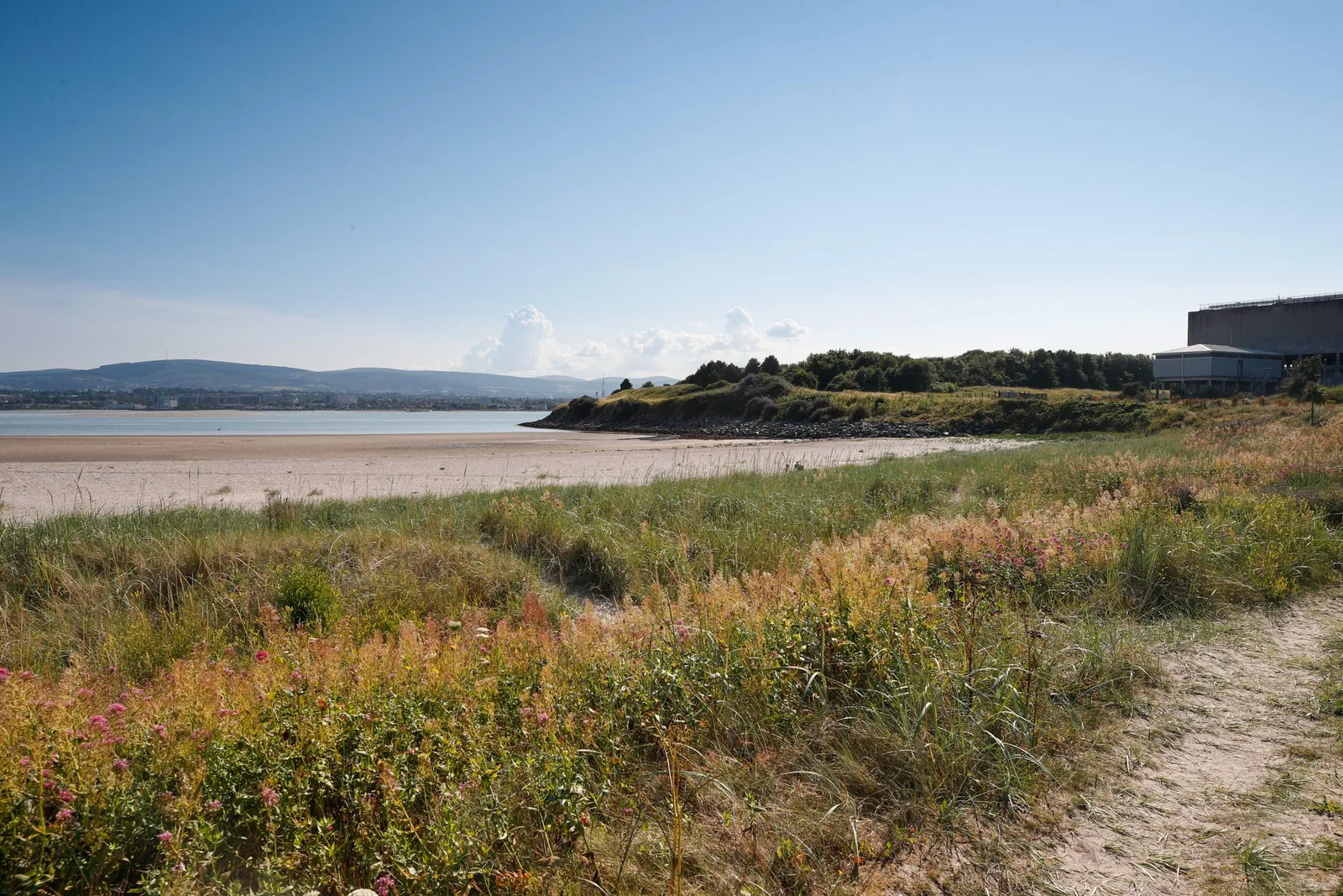 North Bull Island Nature Reserve photo 3