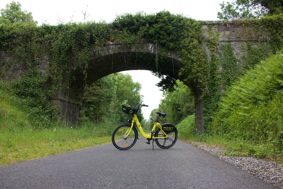 Old Rail Trail Greenway photo 3