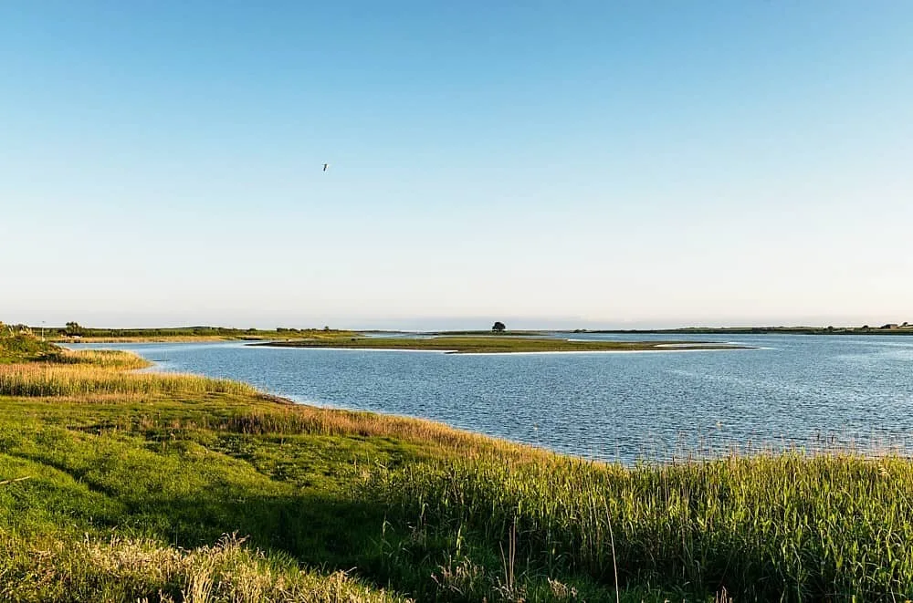Our Lady's Island photo 3