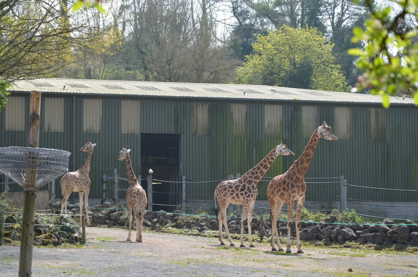 Paignton Zoo Environmental Park