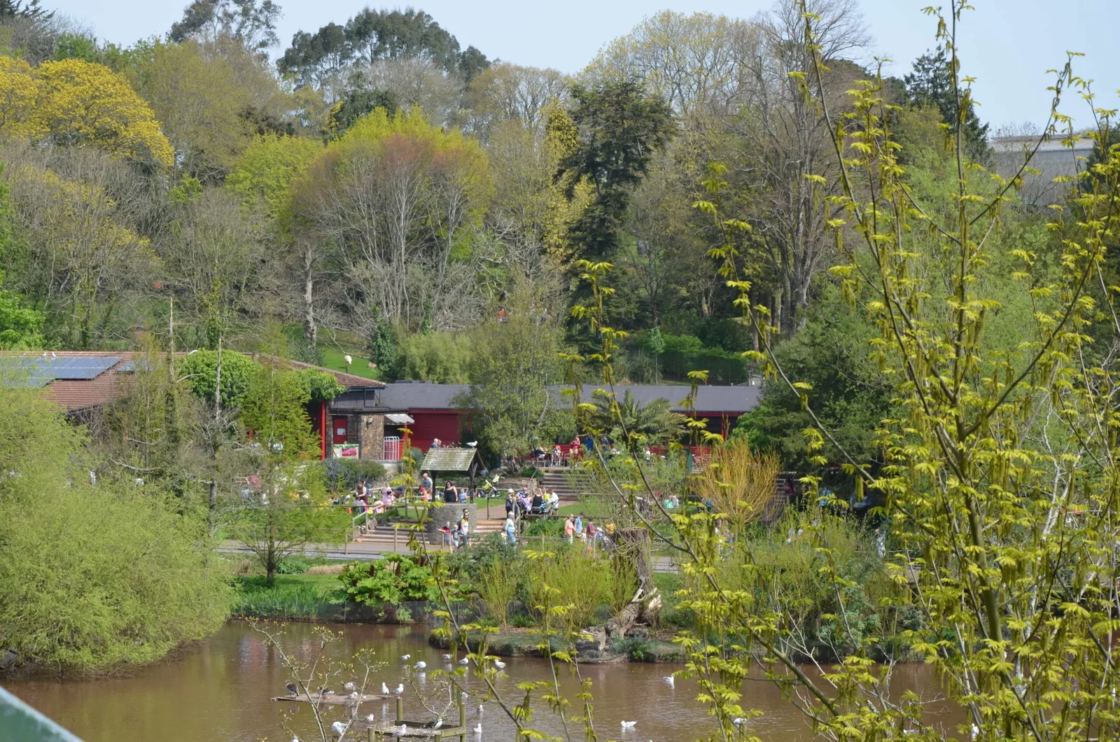 Paignton Zoo Environmental Park photo 2