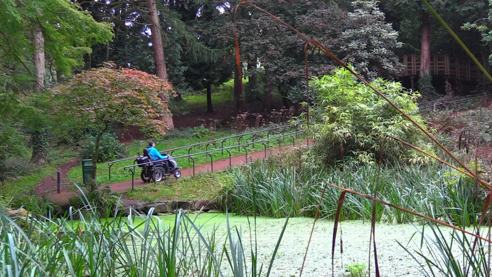 Parc Cefn Onn