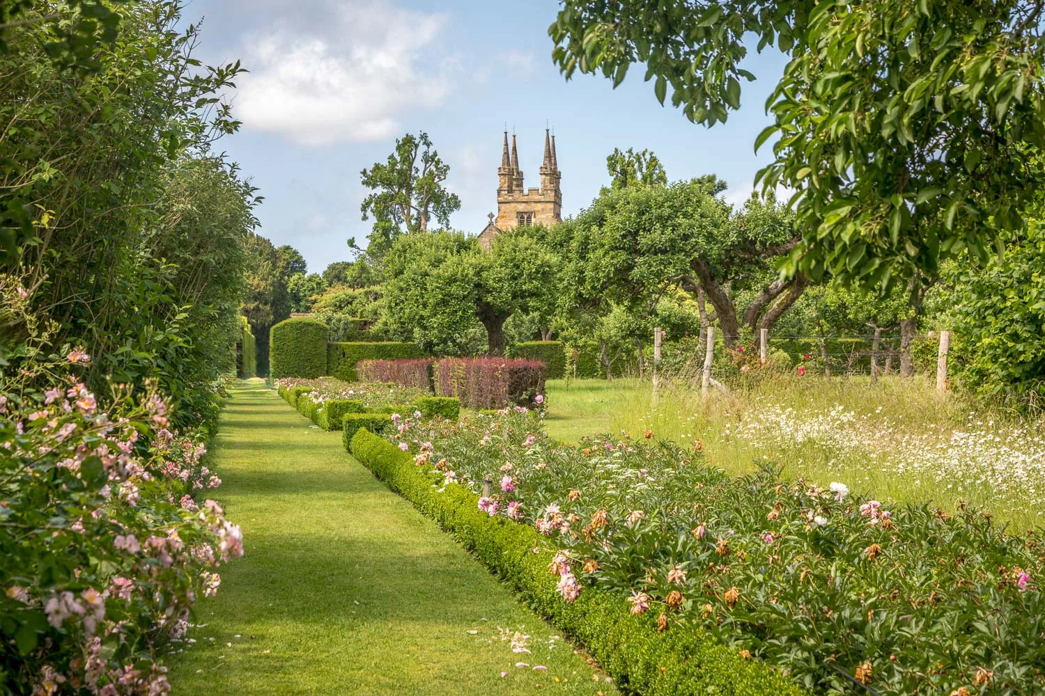 Penshurst Place & Gardens photo 3