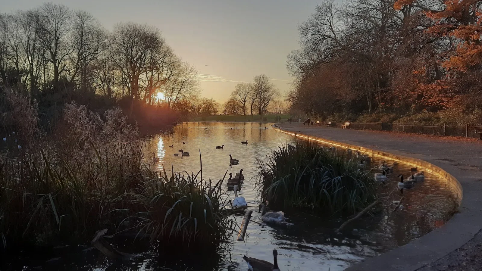 Platt Fields Park