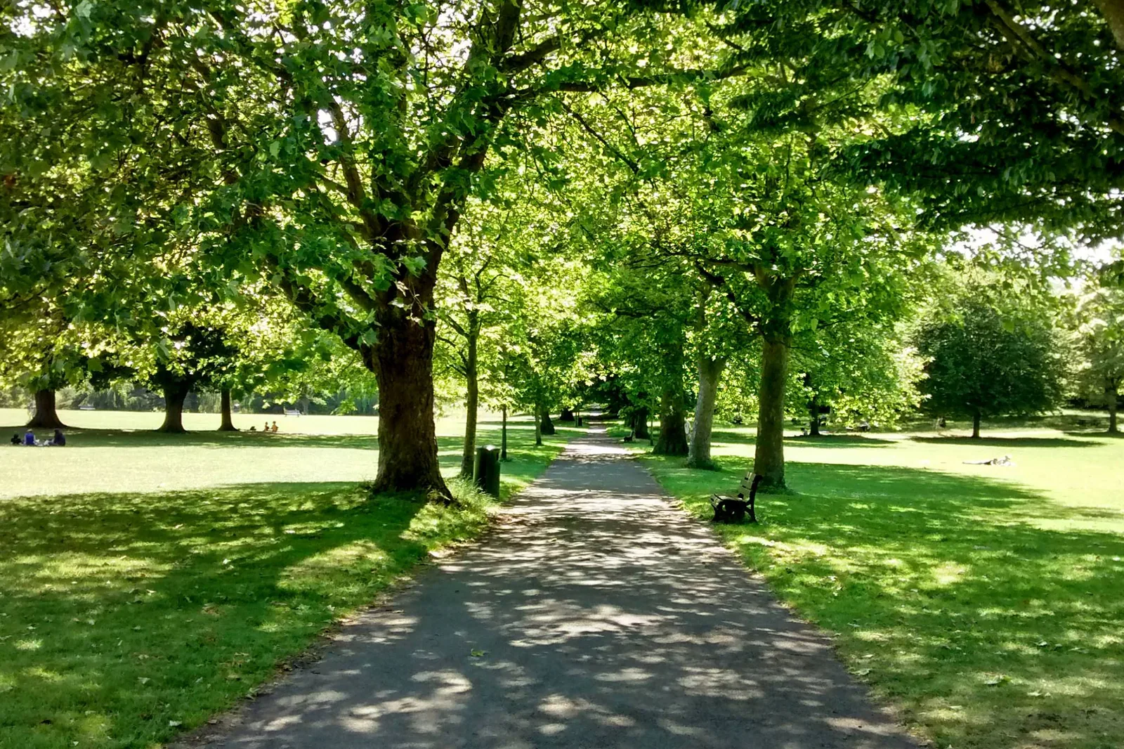 Royal Victoria Park photo 3