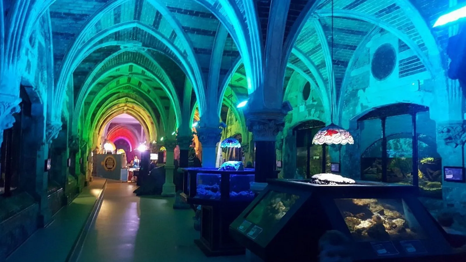 Sea Life Brighton photo 3