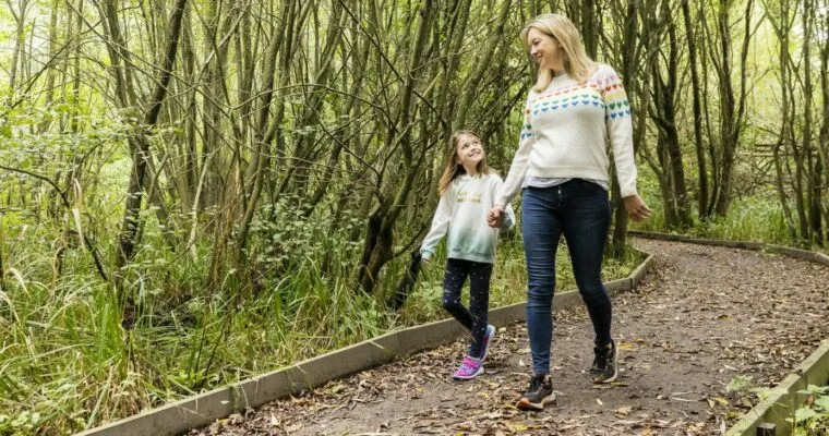 Shorne Woods Country Park photo