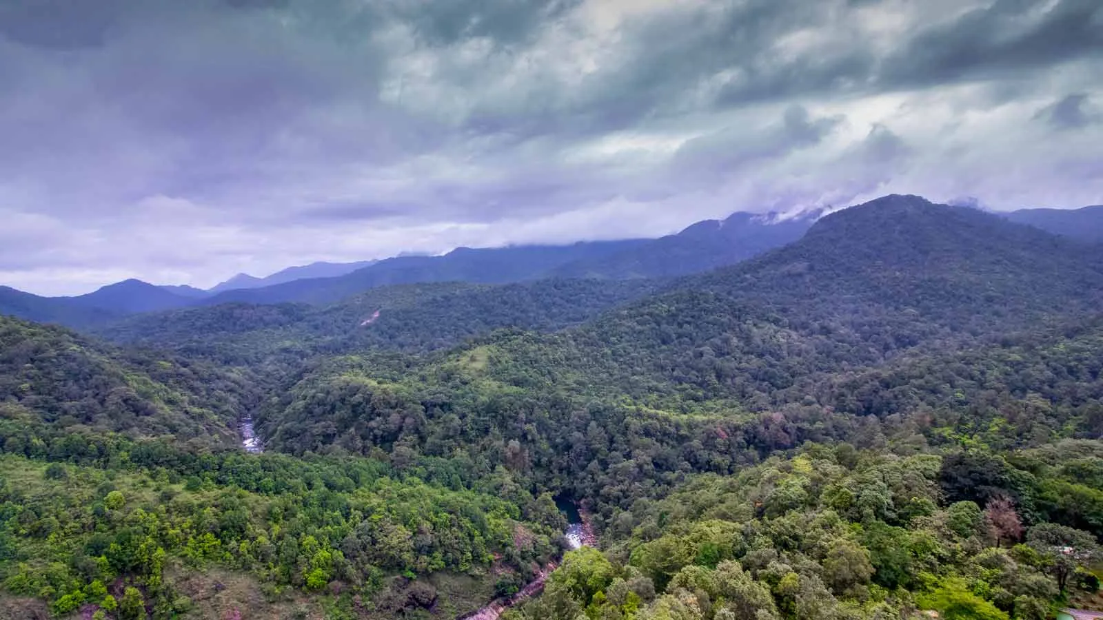 Silent Valley Mountain Park photo 2