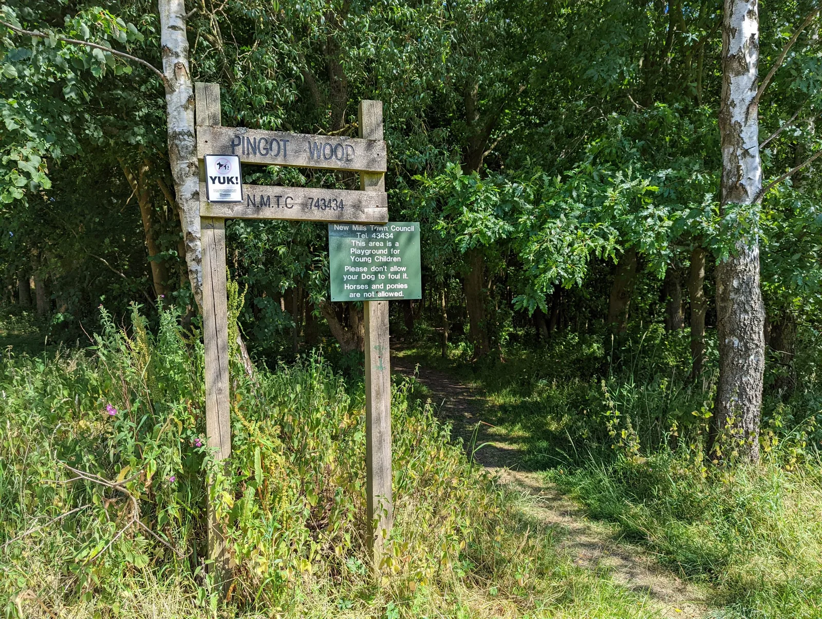 Slish Wood Nature Reserve photo 3