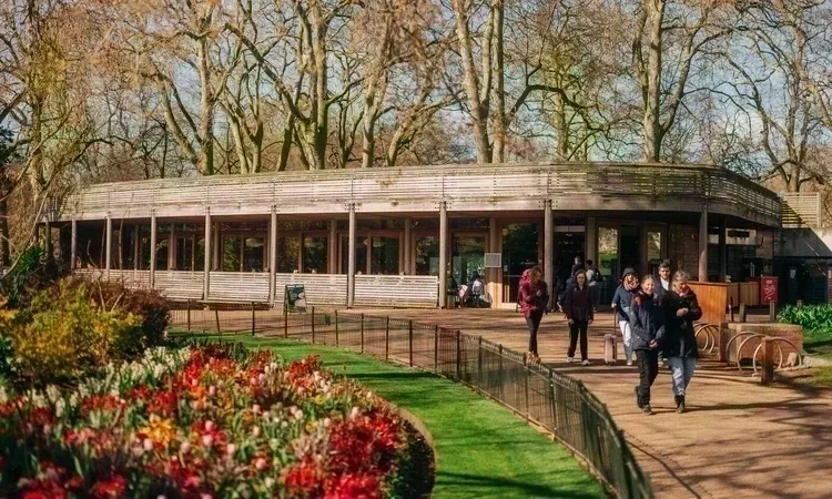 St James' Park photo