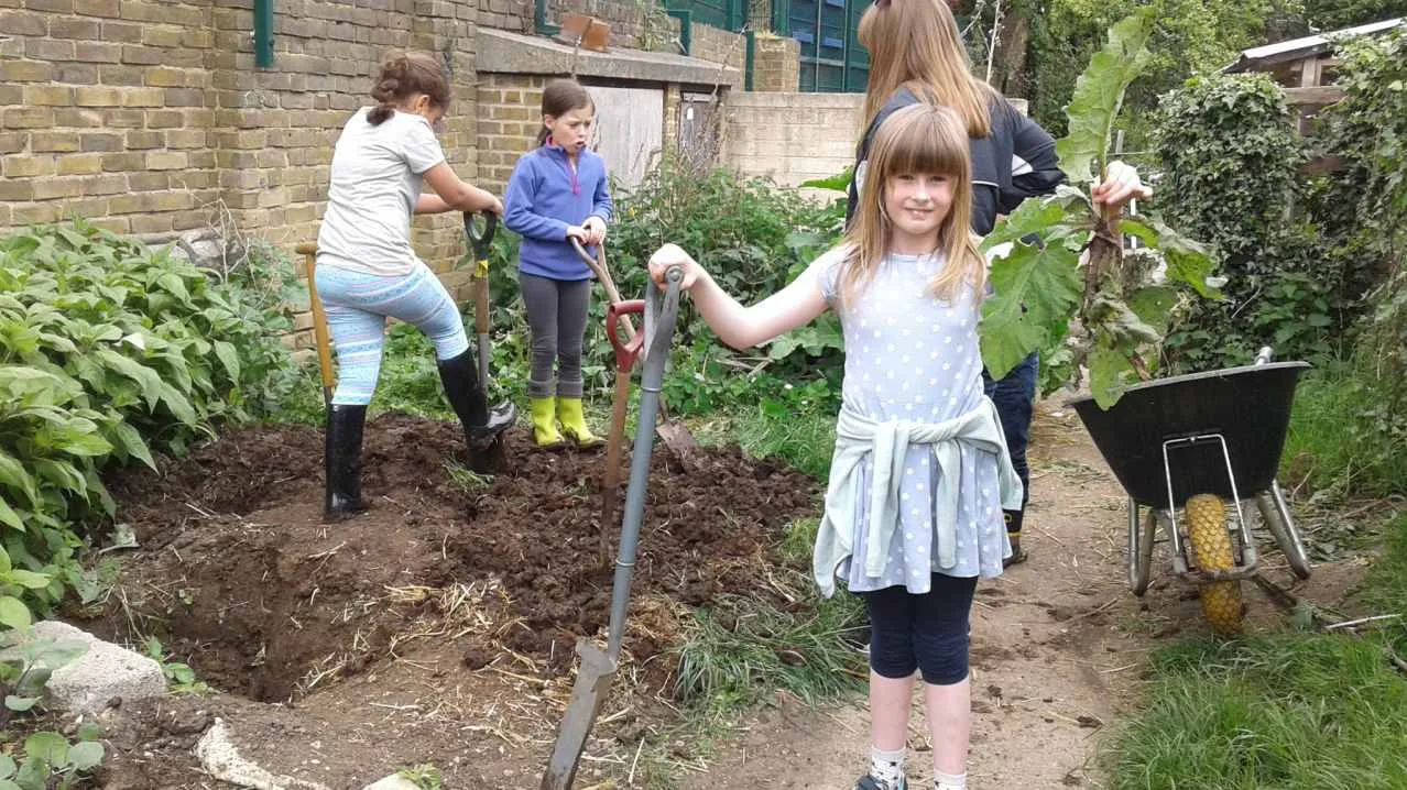Surrey Docks Farm photo