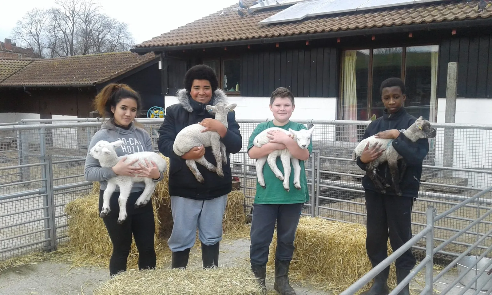 Surrey Docks Farm photo