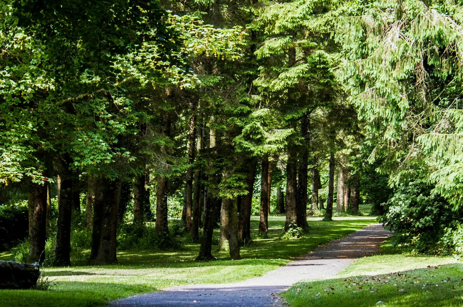Templemore Lough Walk photo 3