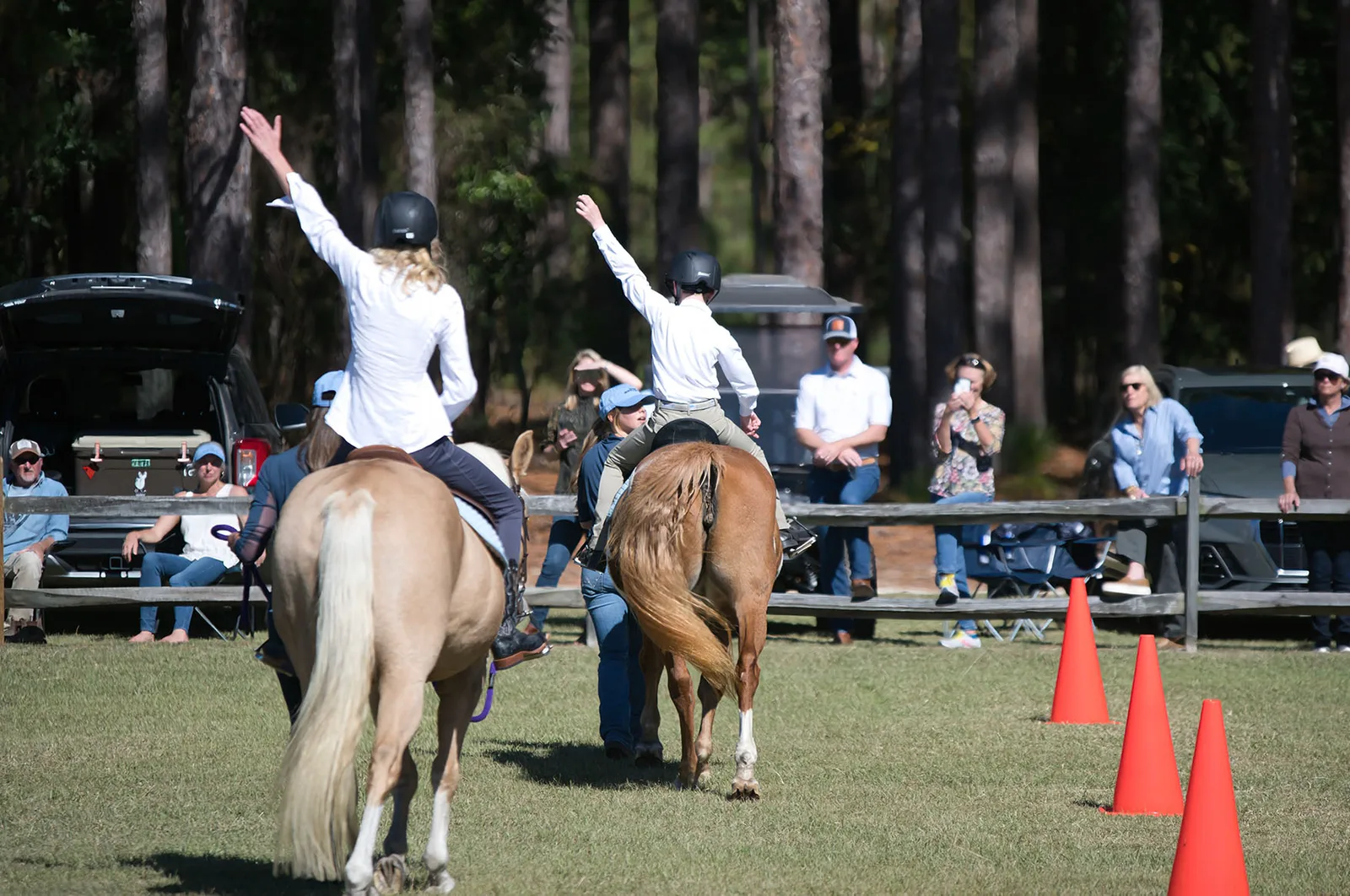 The Horse and Hound Playground (Thomastown) photo 3
