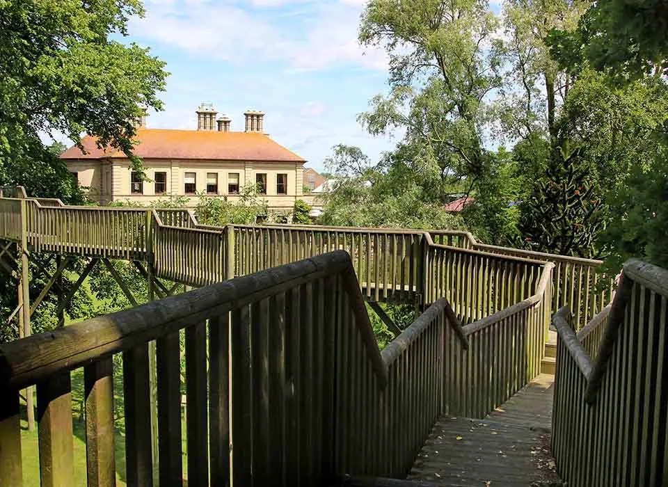 Thrigby Hall Wildlife Gardens photo 3