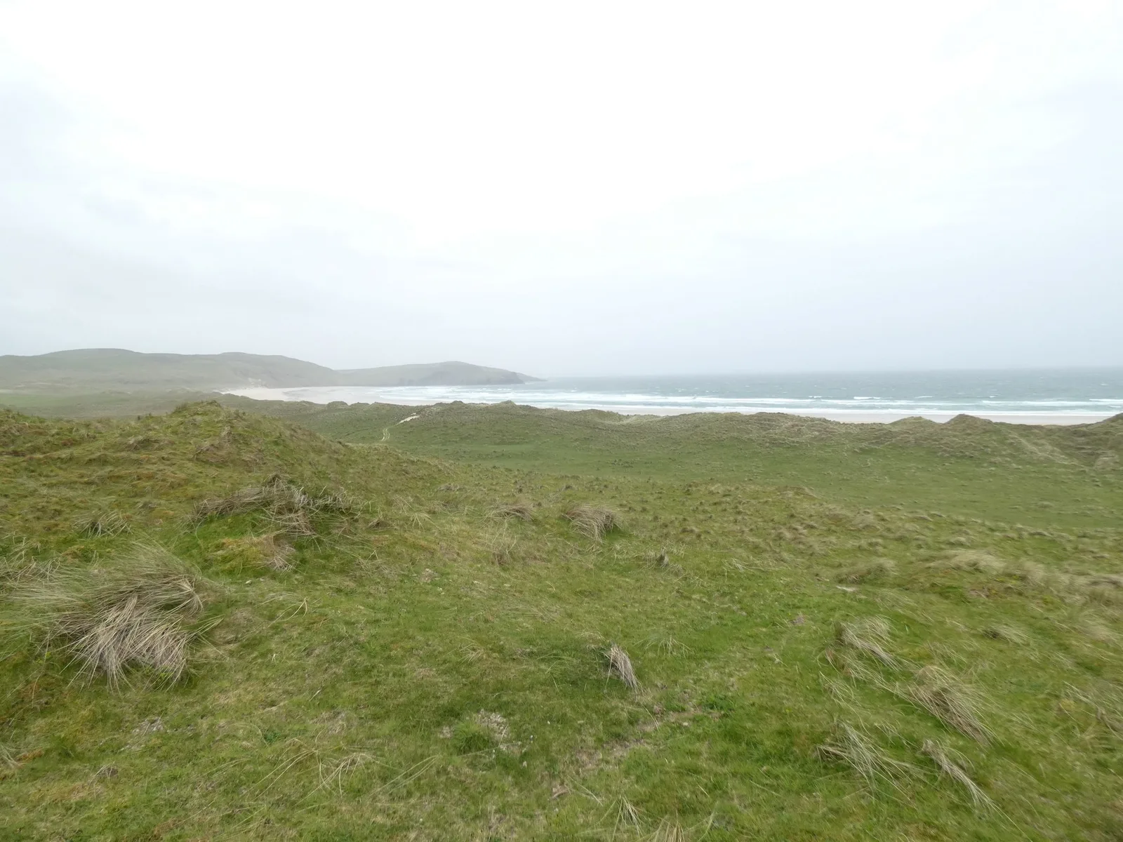 Tramore Back Strand Nature Reserve photo 2