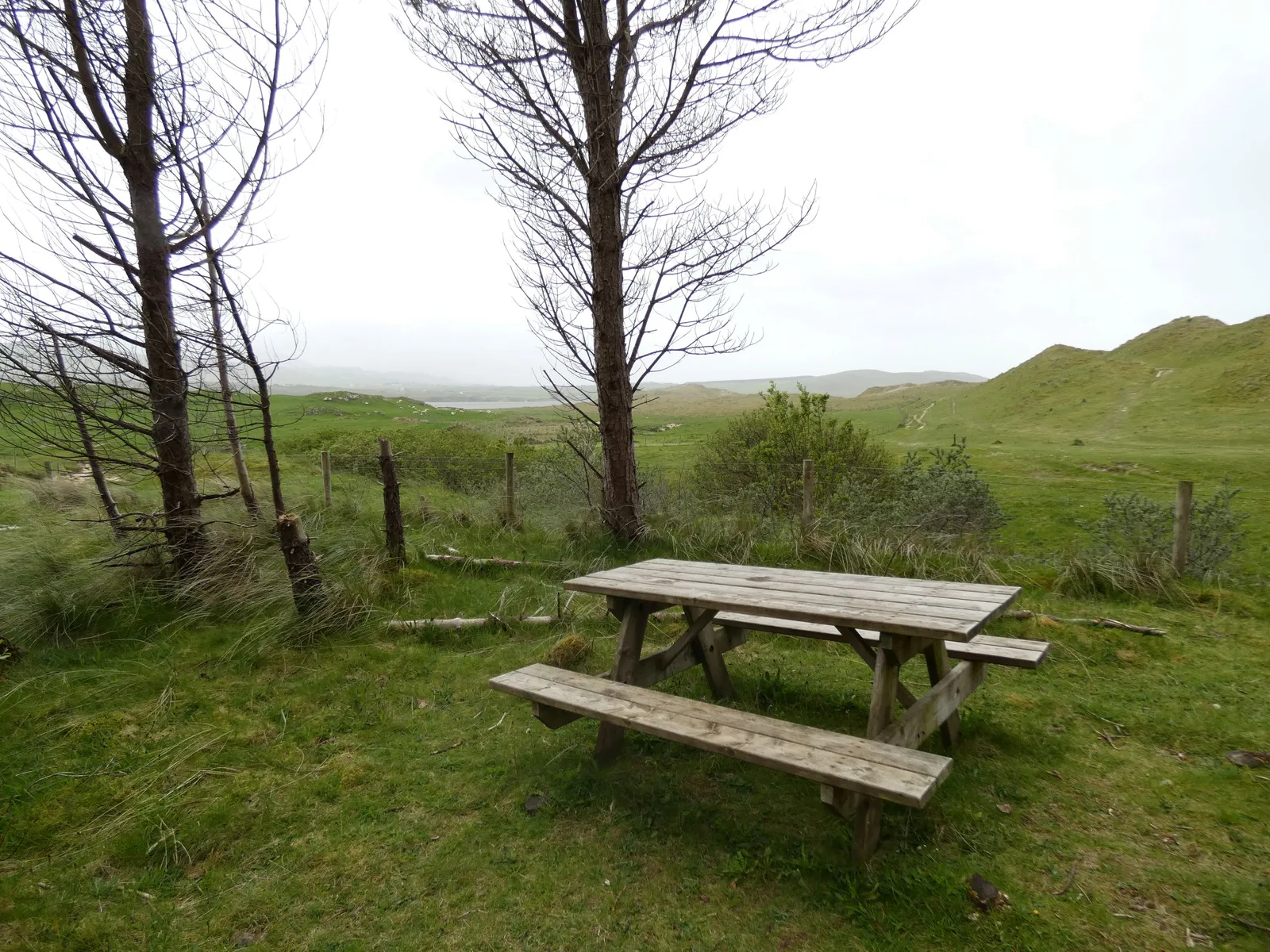 Tramore Back Strand Nature Reserve photo 3