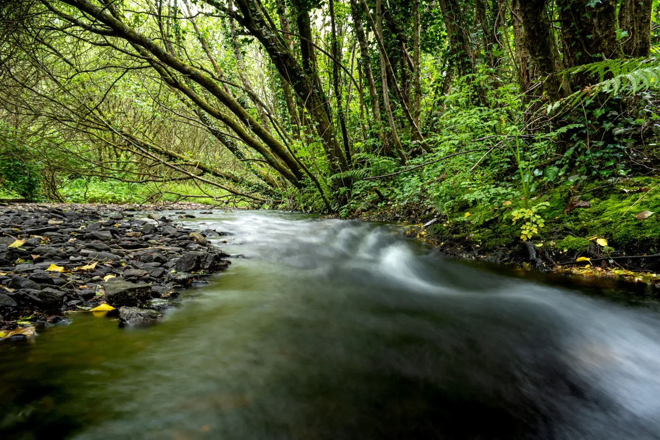 Tramore Valley Park