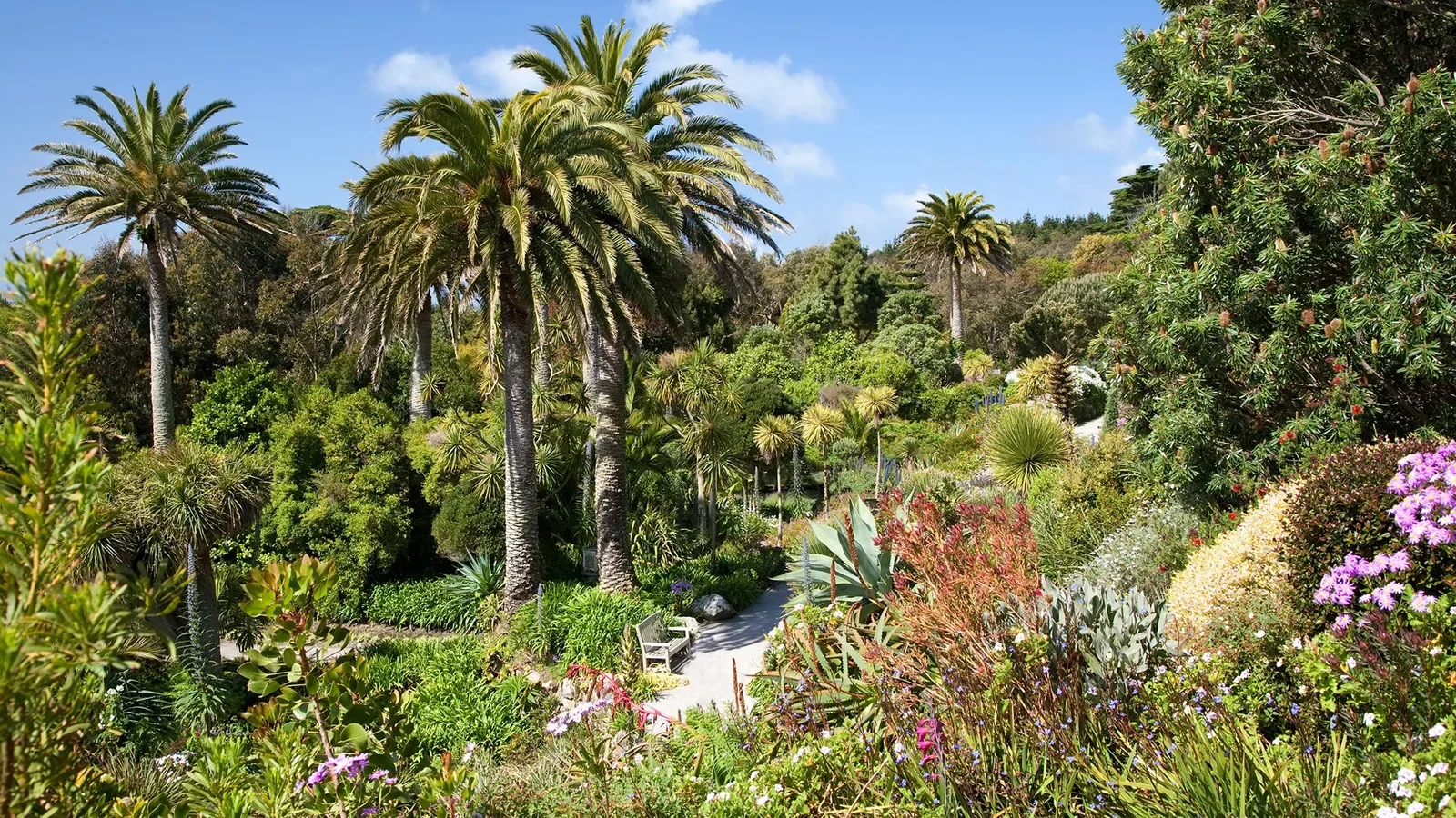 Trebah Garden