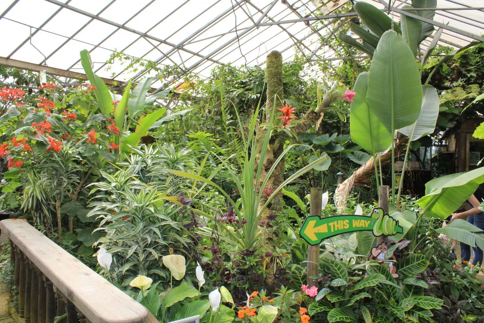 Tropical World photo 3