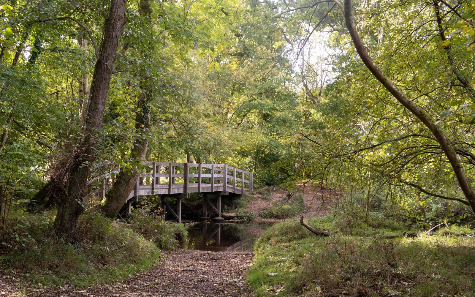 Union Wood Nature Reserve photo 3