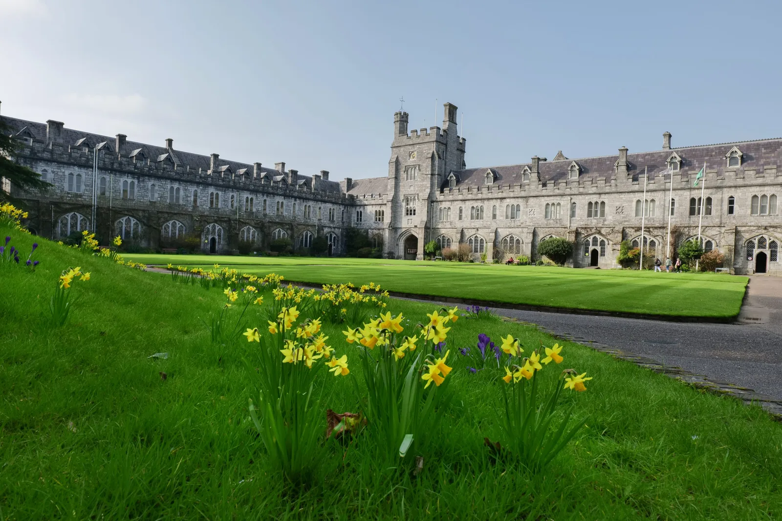 University College Cork (campus grounds) photo 3