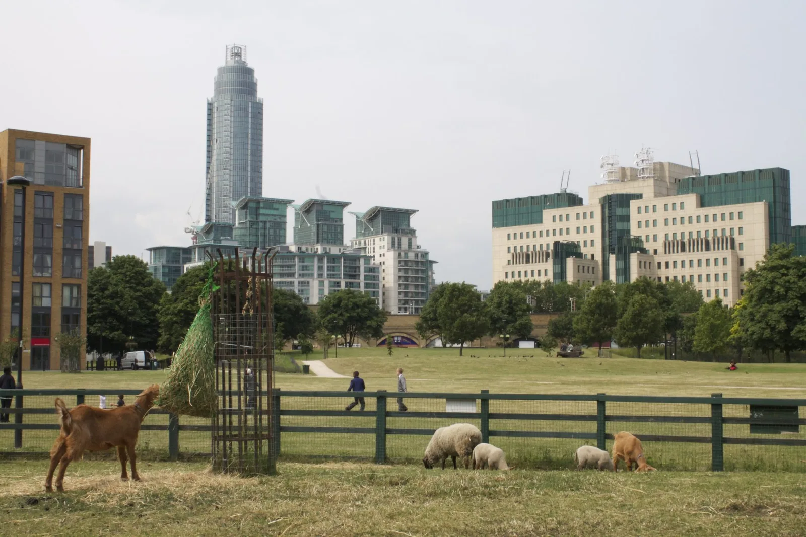 Vauxhall City Farm + Battersea Power Station photo