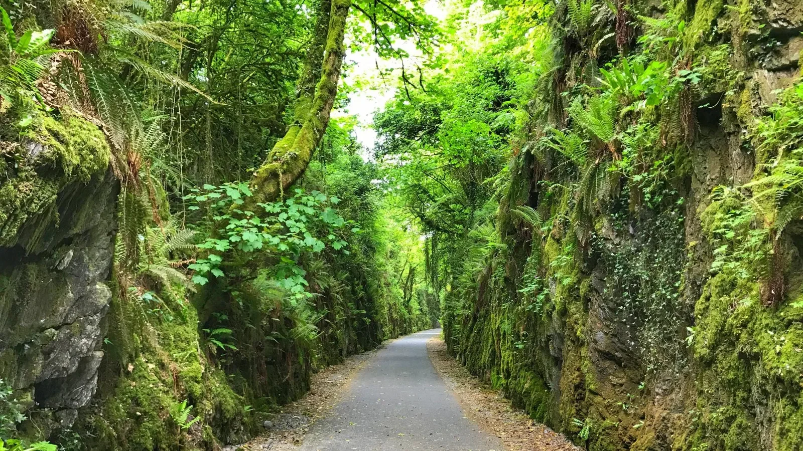 Waterford Greenway
