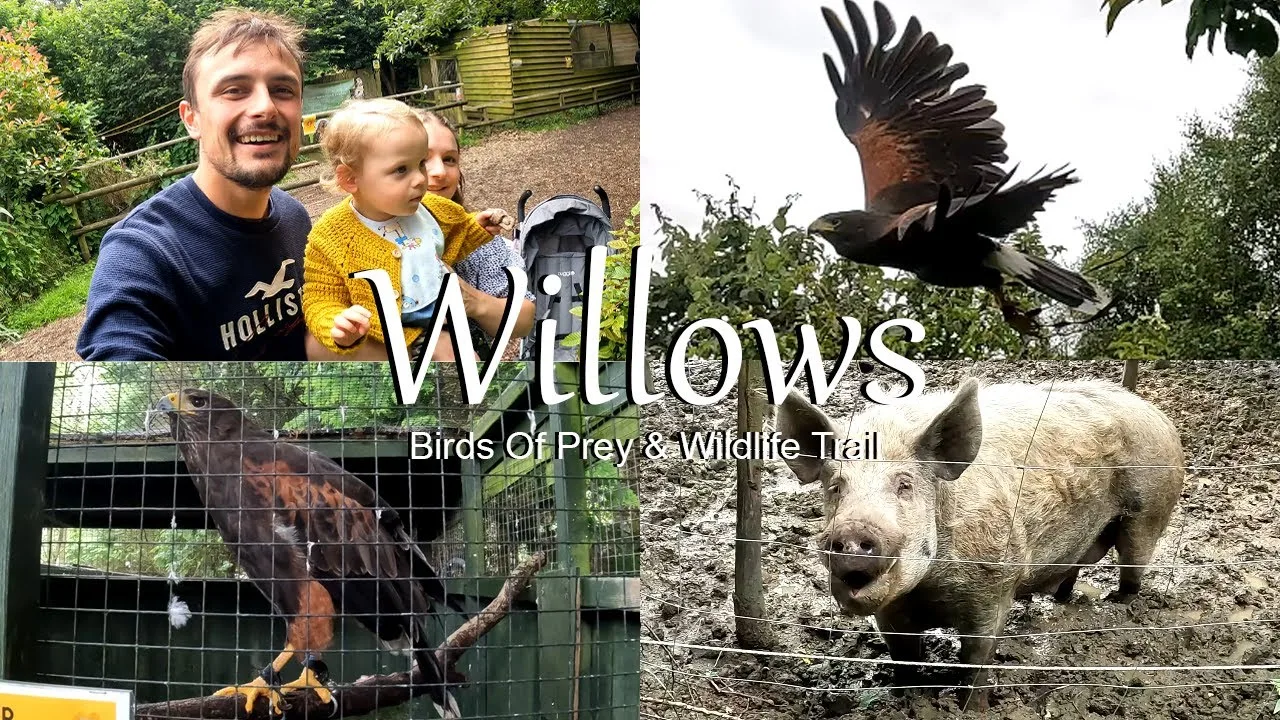 Willows Birds of Prey & Wildlife Trail