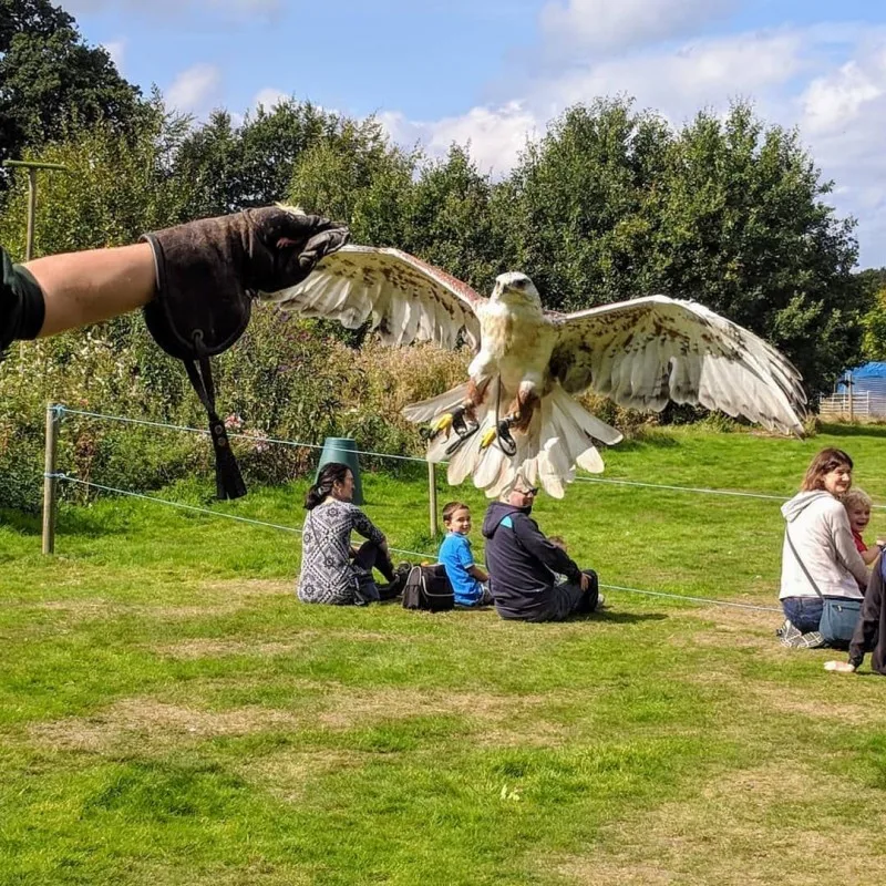 Willows Birds of Prey & Wildlife Trail photo