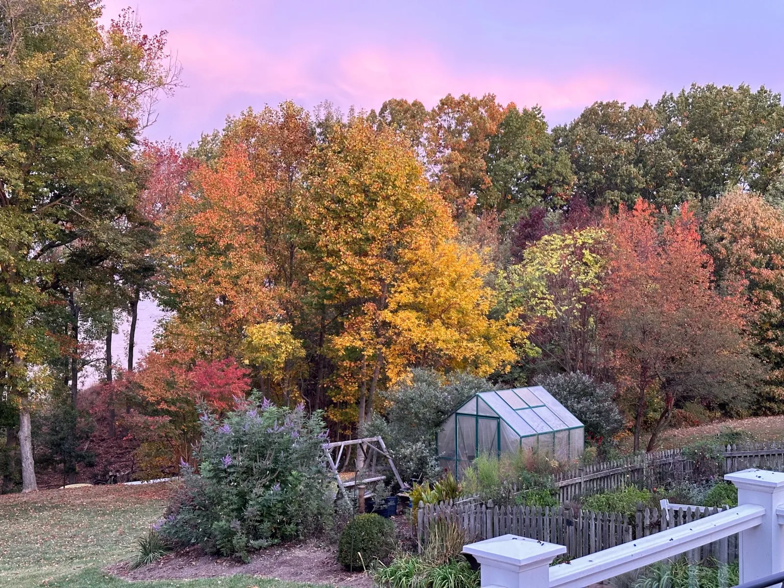 Woodstock Gardens & Arboretum photo 3