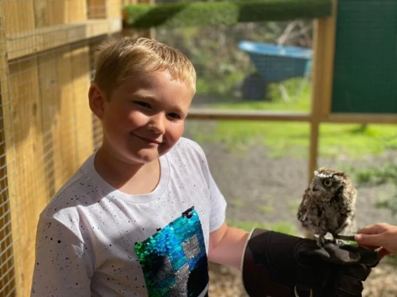 York Bird of Prey Centre photo