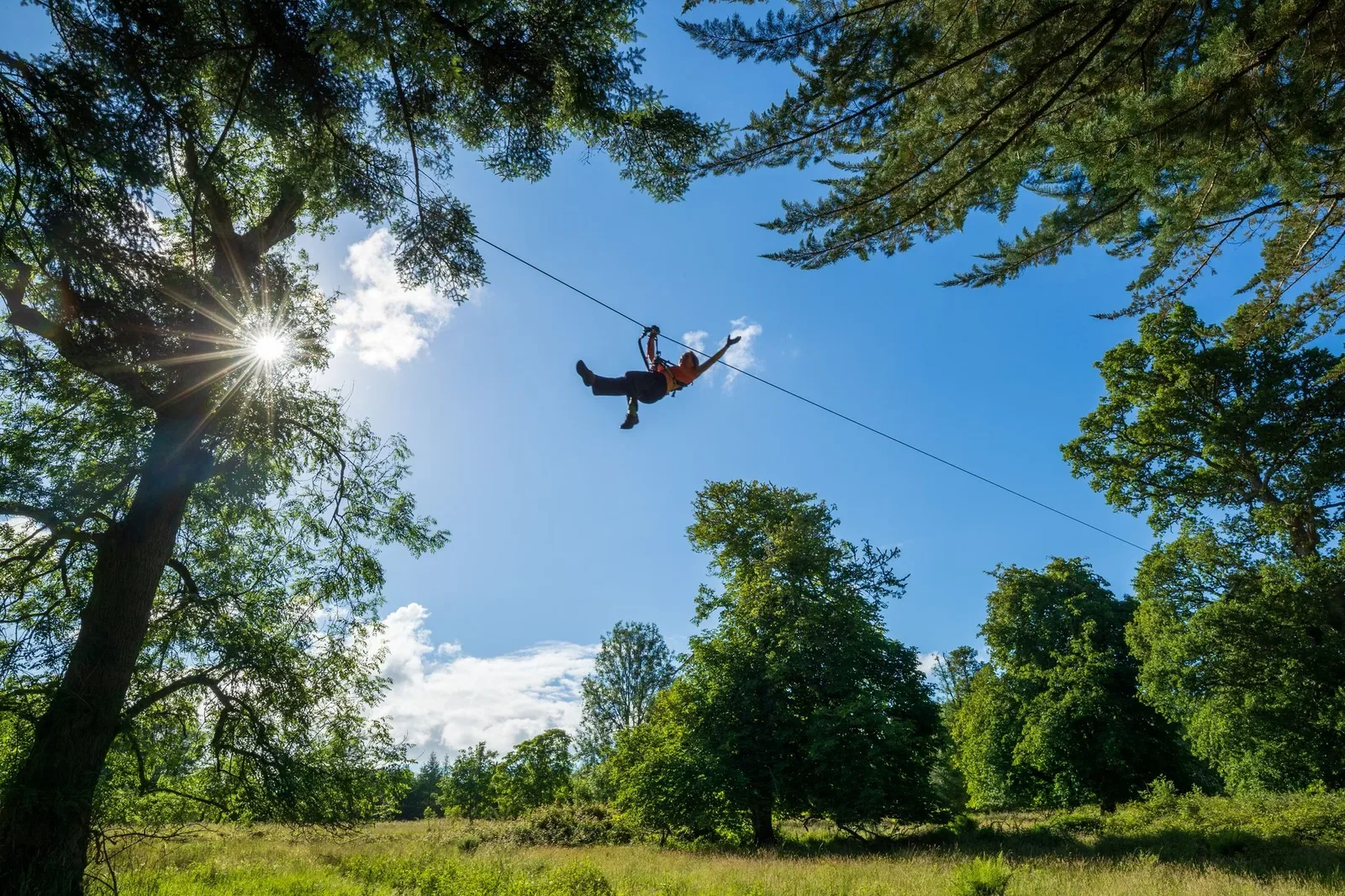 Zipit Forest Adventure